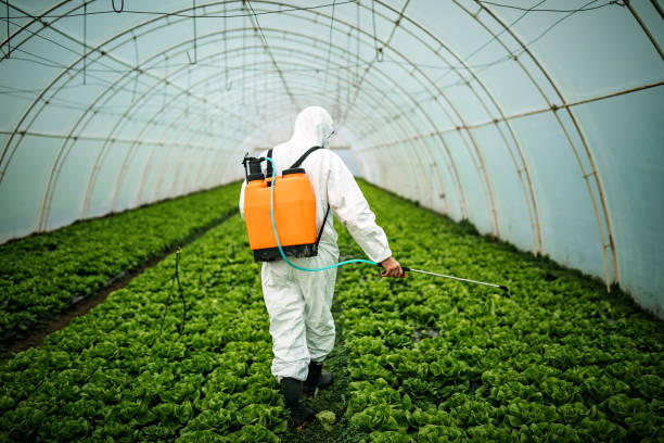 Best Pest Removal Services  in Edmore, MI