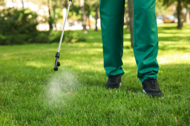 Best Affordable Pest Control Services  in Edmore, MI