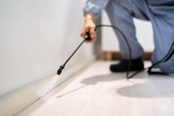 Best Termite Control Services  in Edmore, MI