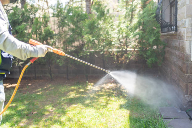 Best Pest Control Near Me  in Edmore, MI