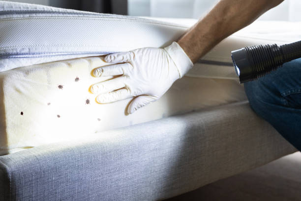 Best Pest Control Treatment  in Edmore, MI
