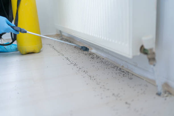 Best Exterminator Services  in Edmore, MI