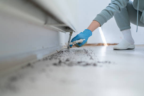 Best Pest Inspection Near Me  in Edmore, MI