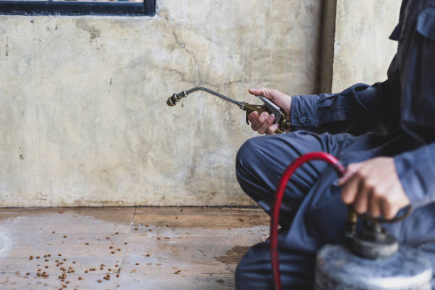 Best Local Pest Control Services  in Edmore, MI